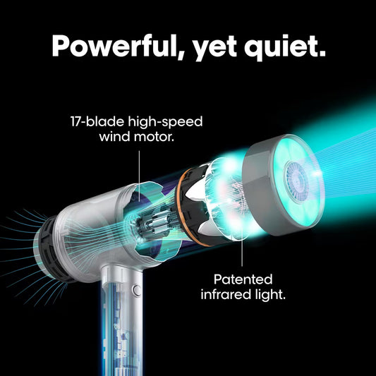 Airlight Pro Blow Dryer