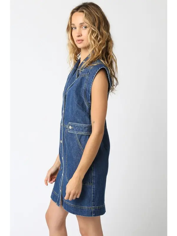 Sydney Denim Dress