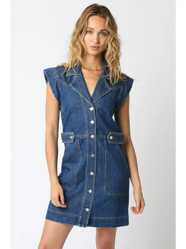 Sydney Denim Dress