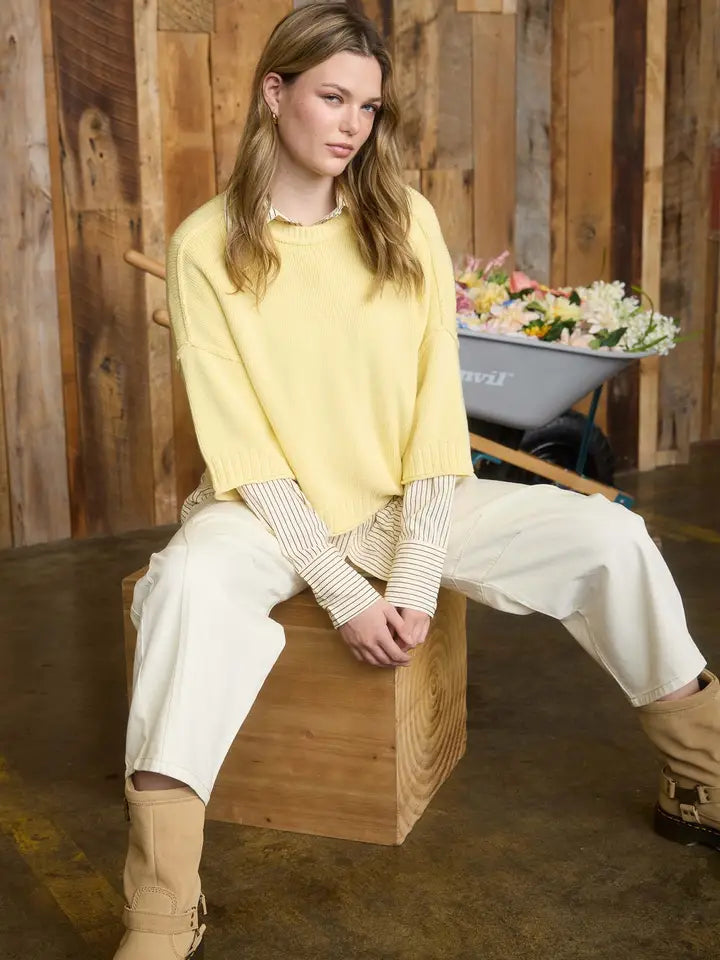 Short Sleeve Drop Shoulder Knit Sweater