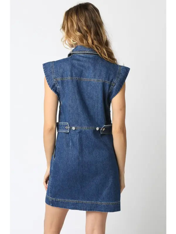 Sydney Denim Dress